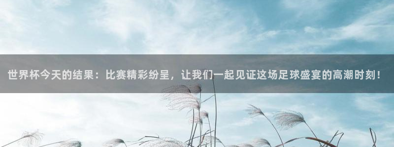 世界杯预选赛排名:世界杯今天的结果:比赛精彩纷呈,让我们一起见证这场足球盛宴的高潮时刻!