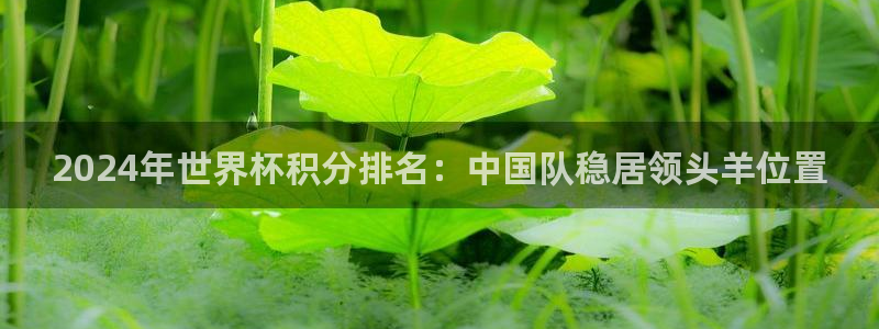 世界杯球赛:2024年世界杯积分排名:中国队稳居领头羊位置