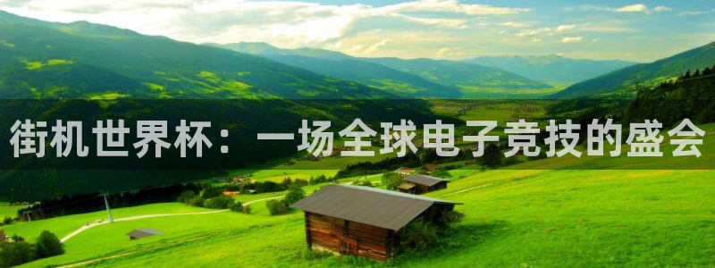 世界杯直播网站:街机世界杯:一场全球电子竞技的盛会