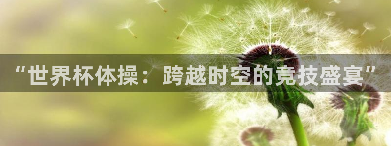 2026年世界杯赛程:“世界杯体操:跨越时空的竞技盛宴”