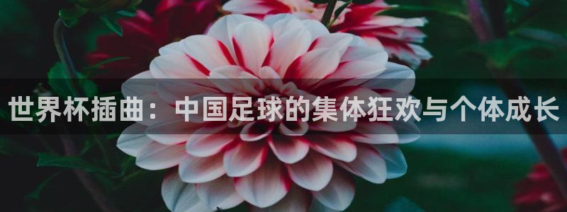 2026世界杯中国队:世界杯插曲:中国足球的集体狂欢与个体成长