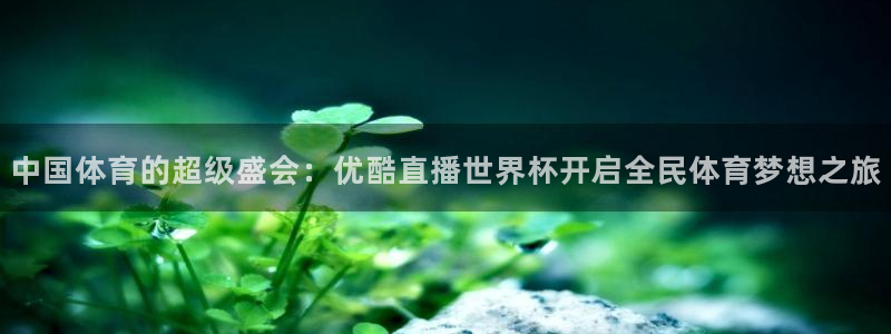 26世界杯:中国体育的超级盛会:优酷直播世界杯开启全民体育梦想之旅